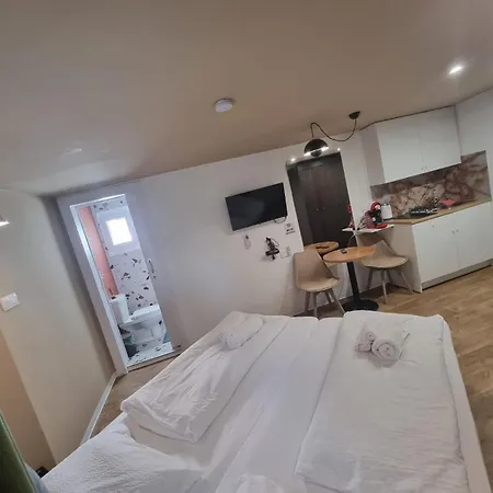 Appartement Modern N9 Kitchenette Bathroom *